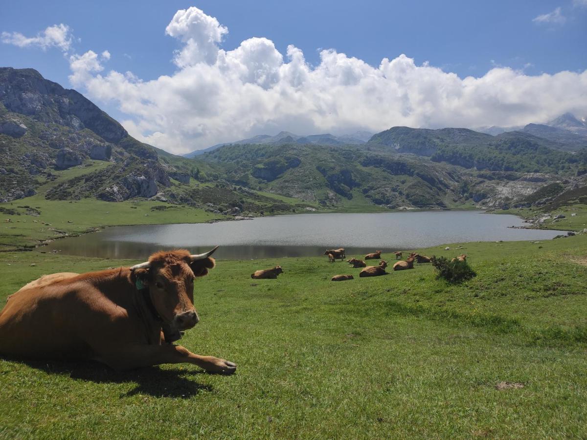 Apartamentos Rurales La Caviana Onís Esterno foto